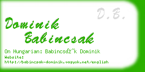 dominik babincsak business card